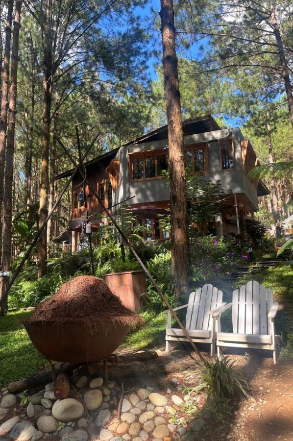 Mo Stay - Forest Resort Đà Lạt Exterior foto