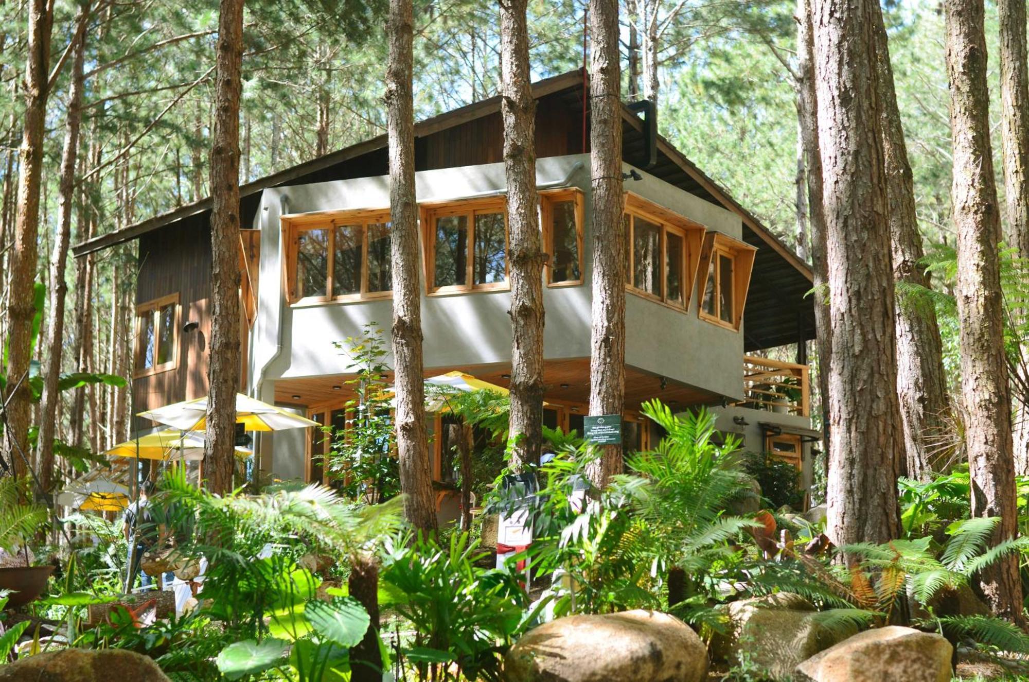 Mo Stay - Forest Resort Đà Lạt Exterior foto